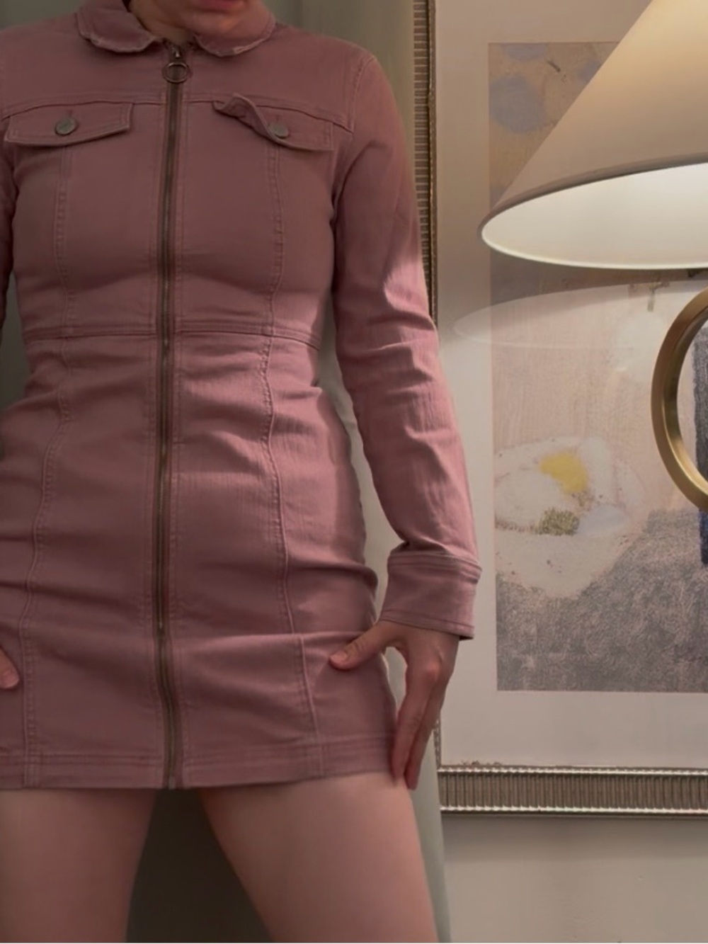 Urban Outfitters Dusty Rose Zip-Front Long Sleeve Mini Dress